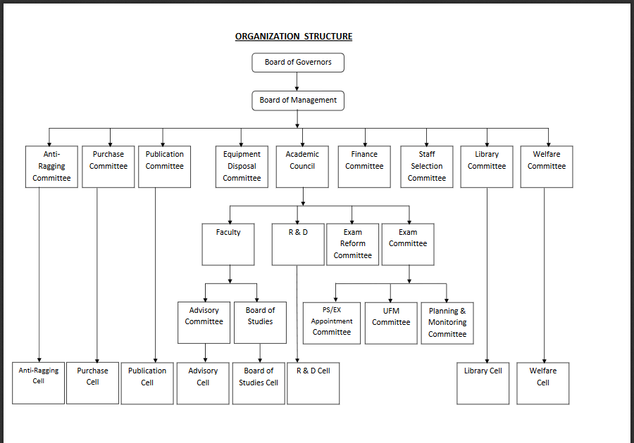 Organisational Structure