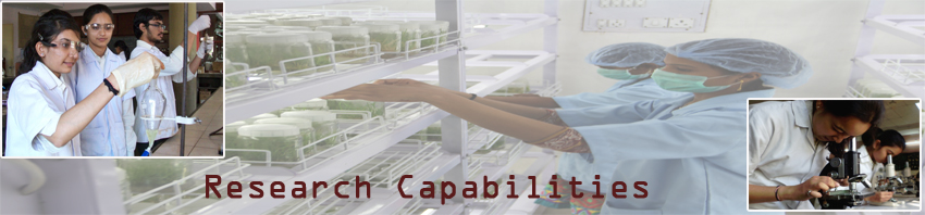 Research Capabilities